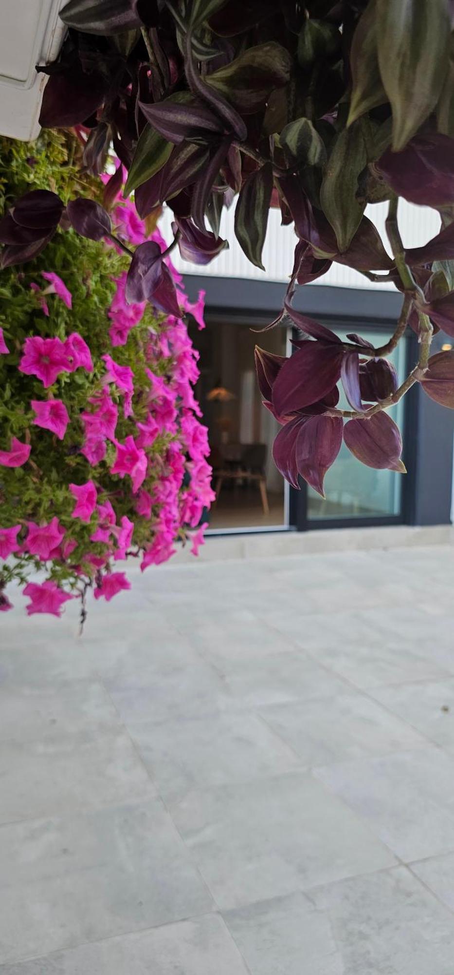 Albayda Garden Apartman Granada Kültér fotó